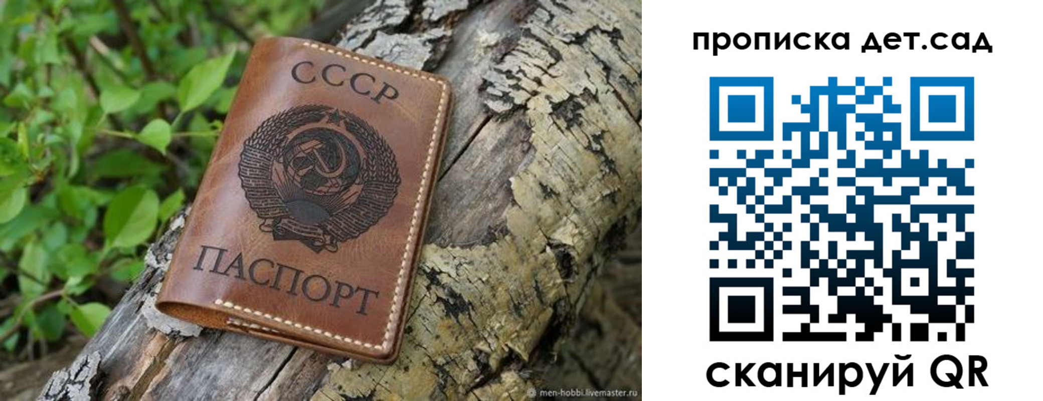 прописка иностранных граждан в Палласовке
